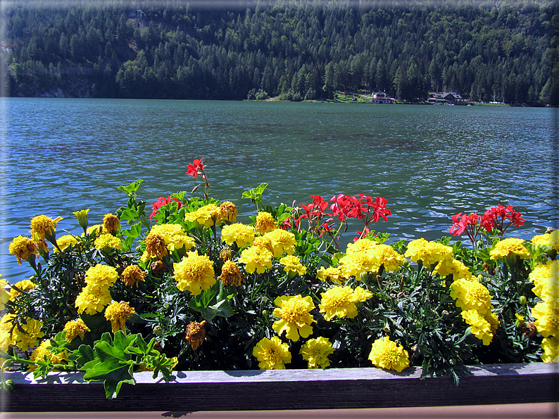 foto Lago di Alleghe